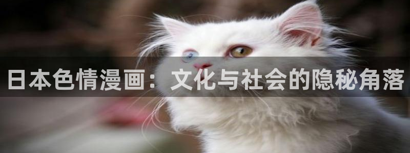 飞飞漫画网日本：日本色情漫画：文化与社会的隐秘角落