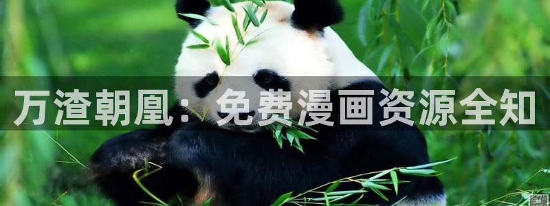 季飞飞漫画网：万渣朝凰：免费漫画资源全知